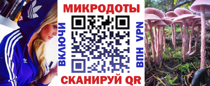 Купить закладки  Лахденпохья  Псилоцибиновые грибы Psilocybine cubensis 